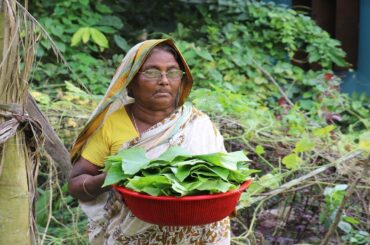 Village Food-Pumpkin vegetables cooking Fresh vegetable-Awesome Cooking Pumpkin Healthy vegetable