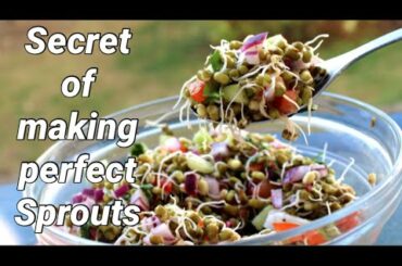 How to grow Sprouts | Sprouts Recipe | Sprouts Salad | Healthy Snacks Ideas | Quick K Kitchen