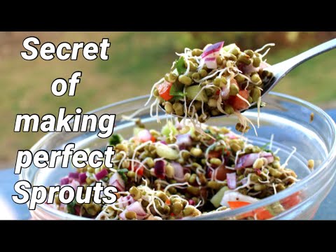 How to grow Sprouts | Sprouts Recipe | Sprouts Salad | Healthy Snacks Ideas | Quick K Kitchen How to grow Sprouts | Sprouts Recipe | Sprouts Salad | Healthy Snacks Ideas | Quick K Kitchen