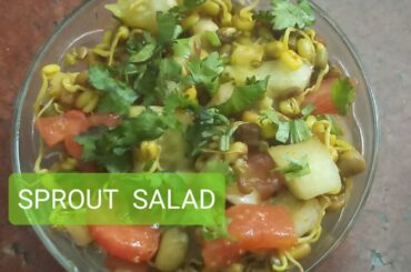 SPROUT SALAD/ HEALTHY FOOD/ HEALTHY RECIPE/ HOW TO MAKE HEALTHY SALAD