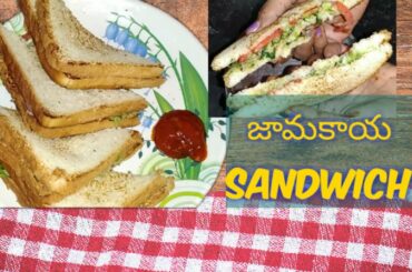 tasty and healthy evening snacks recipe guava sandwich