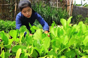 Pick vegetables in the garden and Cooking pork food recipes - Healthy vegetables with Nisa Lifestyle