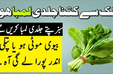 8 Health Benefits Of Spinach Recipe For Weight Loss, Skin & Hair
