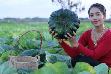 Pick pumpkin in my homeland and cooking food - Healthy vegetable