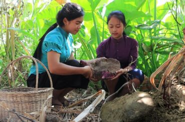 Healthy food from Purple yam Natural | Purple yam dessert tasty delicious recipe for snacks