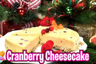 Cranberry Cheesecake raw vegan plant based non dairy recipe holiday christmas thanksgiving healthy c