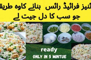 Vegetable Fried Rice A perfact Recipe | Bahawalpur Street Food | How to Prepare Egg Fried Rice