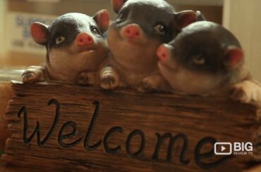 Left Handed Chef Coffee Shop Melbourne for Healthy Meals and Coffee