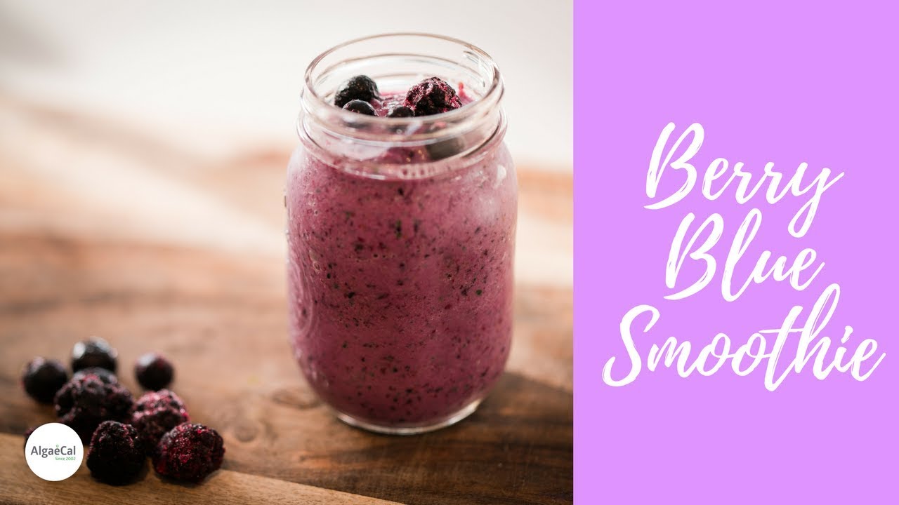 Berry Blue Smoothie For Healthy Bones | AlgaeCal Recipes Berry Blue Smoothie For Healthy Bones | AlgaeCal Recipes