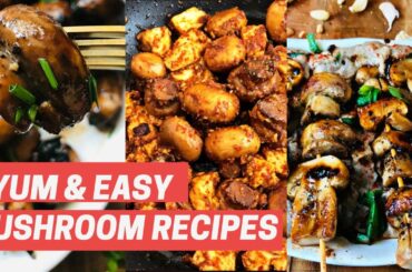 3 super healthy mushroom recipes | Low Carb