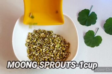 2 super healthy salad|Easy salad |best weight loss recipes