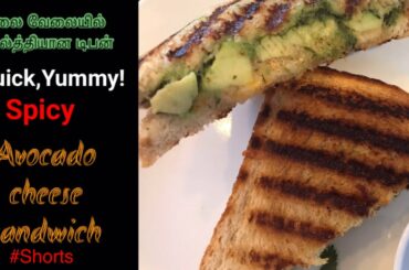 Avocado Cheese Sandwich|Breakfast Sandwich recipes|#Shorts