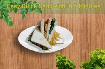 Quick n Easy healthy recipe of sandwich