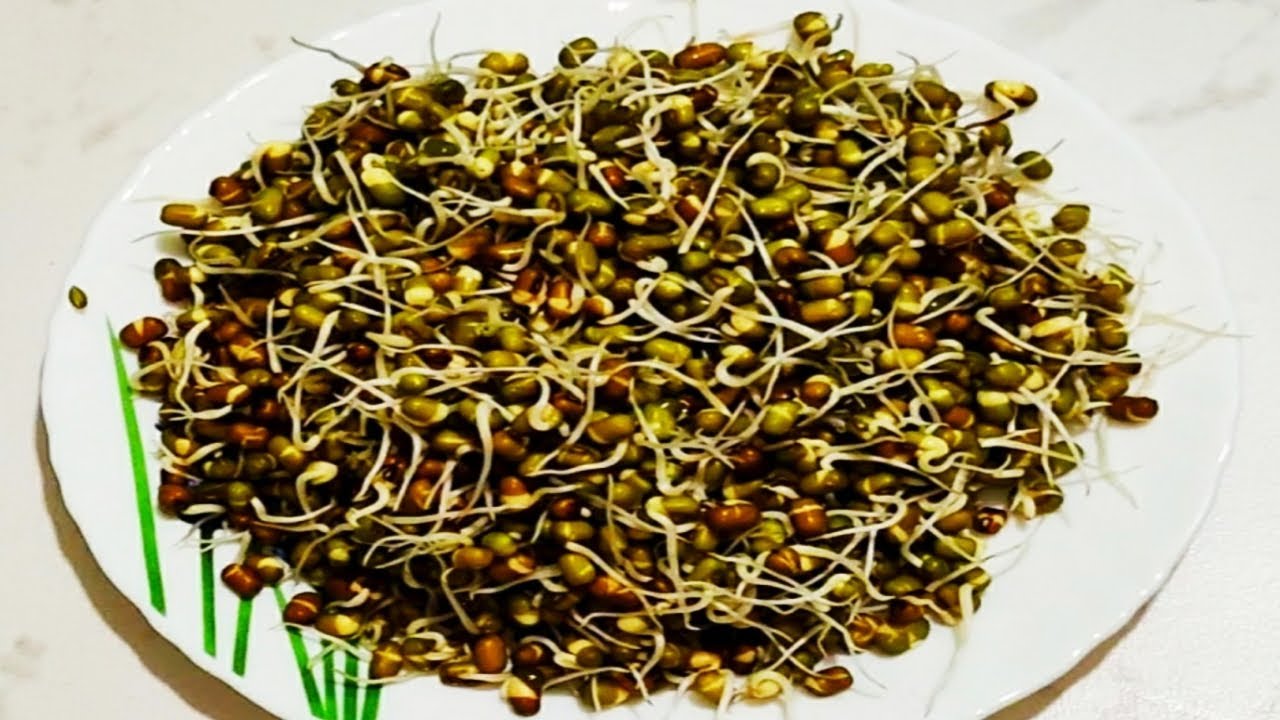 Easy Breakfast Recipe|| Healthy Breakfast Recipe||Moong Dal Sprout Recipe ||By Shera's Kitchen Easy Breakfast Recipe|| Healthy Breakfast Recipe||Moong Dal Sprout Recipe ||By Shera's Kitchen