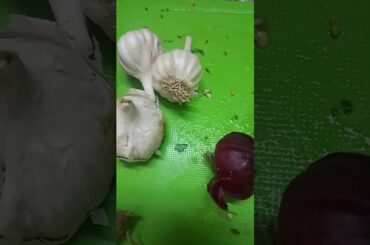 Low calorie low fat light healthy antibacterial garlic chatni.