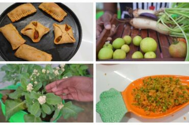 Terrace garden update/Harvesting vegetables from garden/Wheat puff recipes/Healthy evening snack