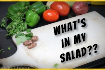 Step by Step Recipe Of My Healthy Salad For Good Hair & Skin  #lowbudgethealth | Bearded Chokra