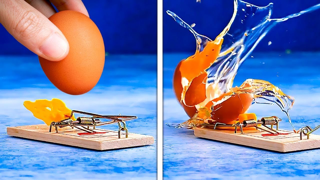 Incredibly Delicious Food Ideas You'll Fall In Love With || Mini Food And Party Snack Recipes Incredibly Delicious Food Ideas You'll Fall In Love With || Mini Food And Party Snack Recipes