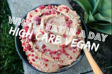 What I Eat in a Day | HCLF VEGAN + Healthy recipes!