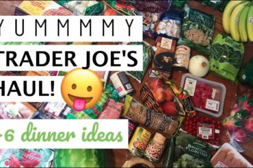 Huge Healthy Trader Joe's Haul & Weekly Meals! 2017