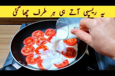 10 Minutes Recipe | Quick And Easy Breakfast Recipe | Better than tortilla Recipe