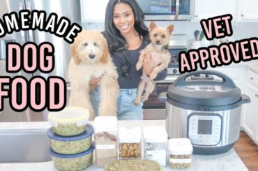 VET APPROVED HOMEMADE + HEALTHY DOG FOOD RECIPE | COOKING FOR YOUR DOG | PART 2