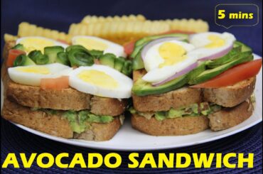 AVOCADO SANDWICH IN 5 MINS | HEALTHY EASY RECEIPE | NO COOK | GUACAMOLE | QUICK LUNCH/DINNER