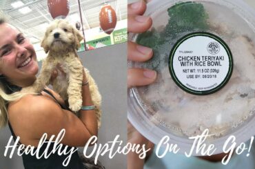 Puppies, Candles (THE BEST ONES), Healthy Meals | 60 DAYS SUSTAINABLE