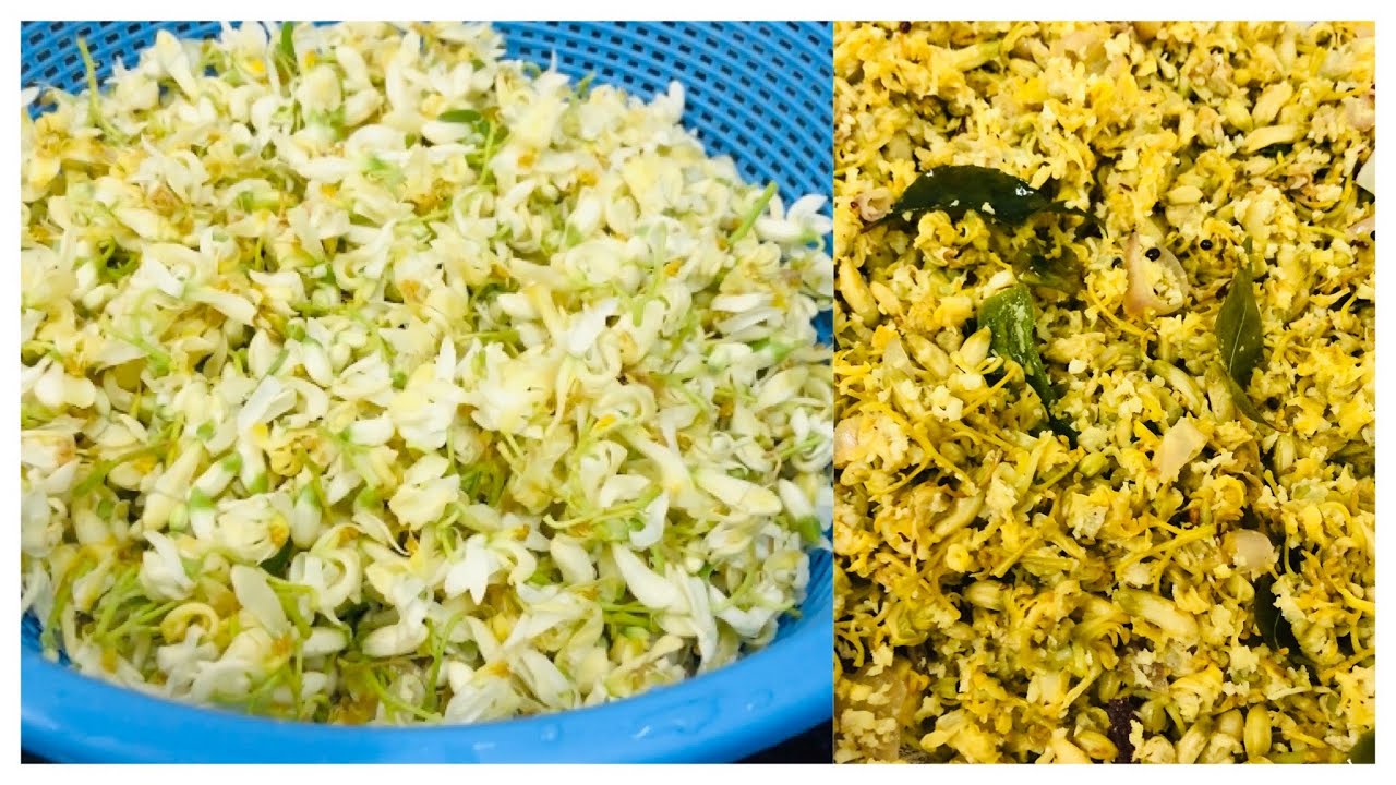 Muringa Poovu Thoran in Malayalam/Drumstick Flower Dish /Healthy Recipe/Muscat Diaries Muringa Poovu Thoran in Malayalam/Drumstick Flower Dish /Healthy Recipe/Muscat Diaries