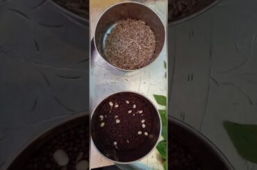 Egg carrots fry recipe me chiru prema viewers ki healthy food making video  please subscribe