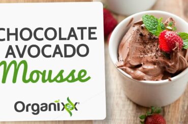 Chocolate Avocado Mousse Recipe | Healthy Dessert Recipe | Organixx Recipe