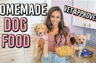 VET APPROVED HOMEMADE + HEALTHY DOG FOOD RECIPE | COOKING FOR YOUR DOG
