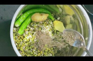 Green gram dosa recipe / Healthy breakfast recipe tamil / protein breakfast recipes