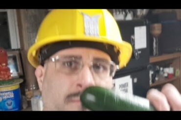 Lifefood Certified Chef Recipe Bread Gluten Quinoa Health