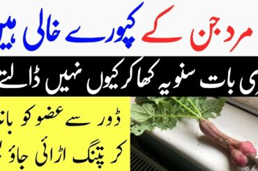 6 Health Benefits Of Red Radish Recipe For Weight Loss, Skin & Hair