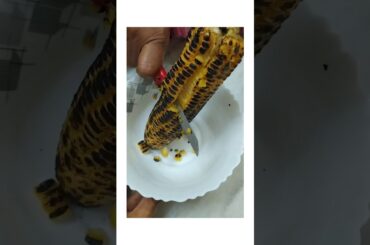 Healthy Evening snack Recipe - Roasted Sweet Corn Chat - by Registered Dietitian Minal Gada