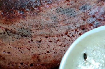 healthy multi grain dosa recipe | dosa recipe #shorts