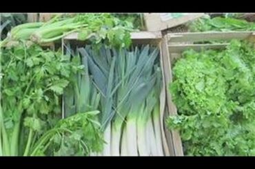 Diet & Health : Diabetic Family Menus & Recipes