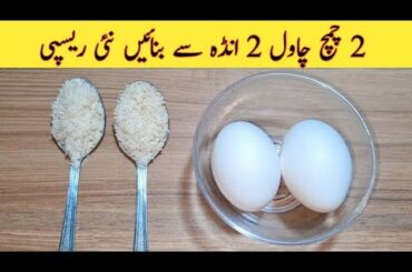 Healthy Breakfast Recipe | Quick And Easy Breakfast Recipe | Better than Street Food | Easy Recipes