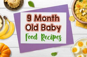 9 Month Old Baby Food Recipes