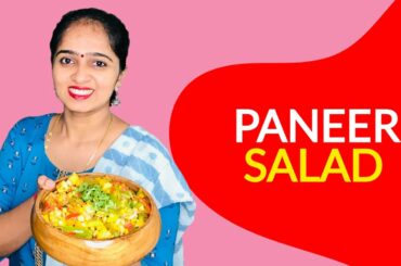 Easy Paneer Salad | Healthy Paneer Salad | High Protein Salad | Easy Diet Recipe | Paneer Veg Salad