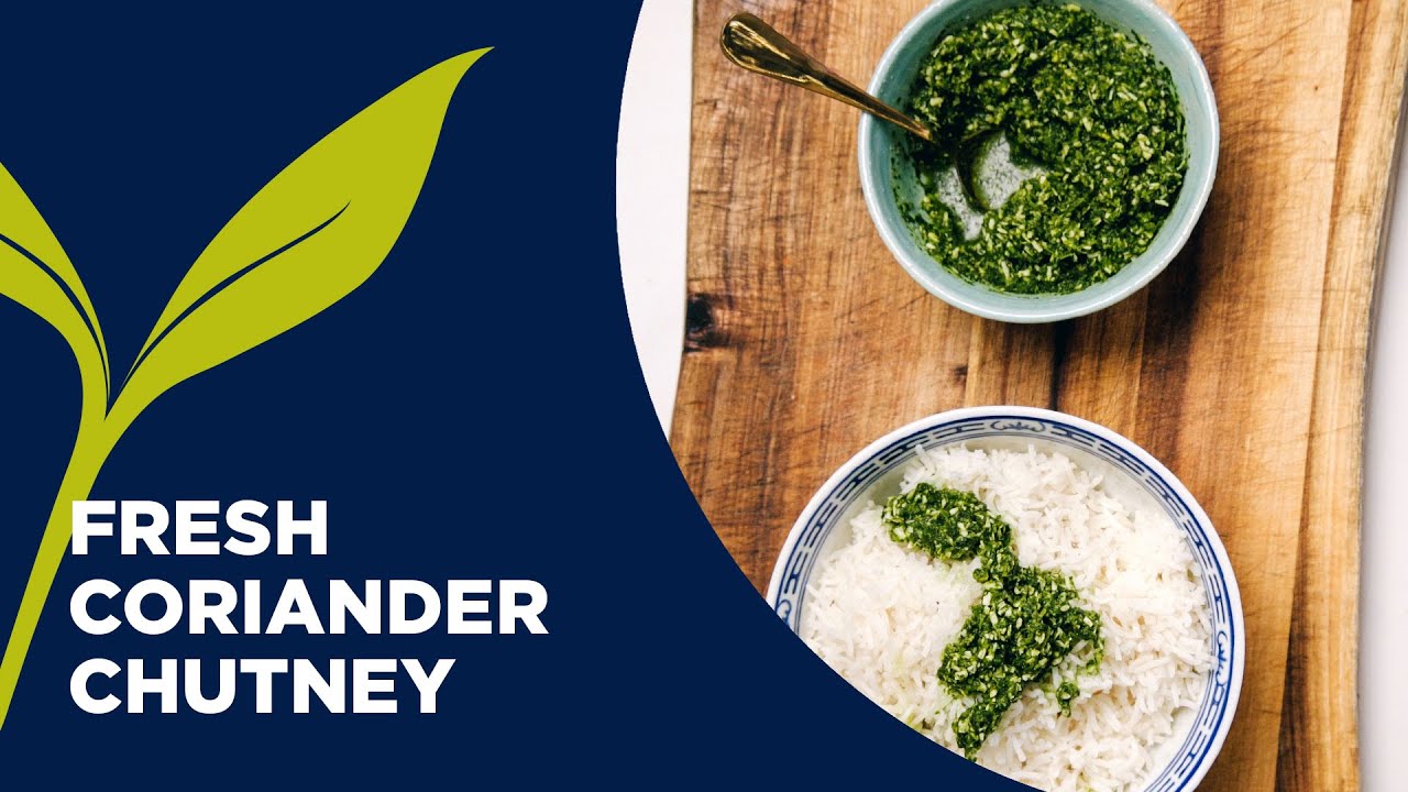 Fresh Coriander (Cilantro) Chutney Recipe | Healthy Ayurvedic Recipes Fresh Coriander (Cilantro) Chutney Recipe | Healthy Ayurvedic Recipes