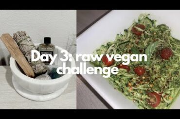VLOG | raw vegan, vegan pesto, vibe update, healthy recipes