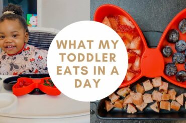 What My 14 Month Old Toddler Eats In A Day | Toddler Meal Ideas | Healthy Meals