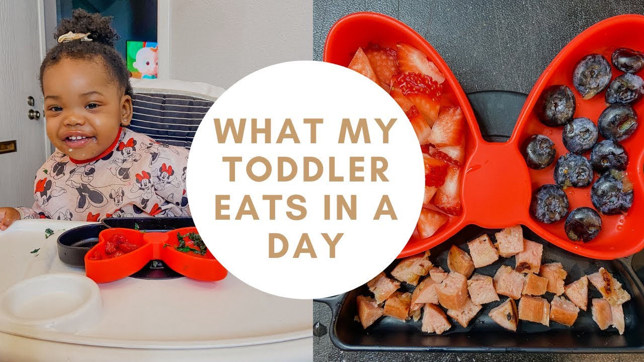 What My 14 Month Old Toddler Eats In A Day | Toddler Meal Ideas | Healthy Meals What My 14 Month Old Toddler Eats In A Day | Toddler Meal Ideas | Healthy Meals
