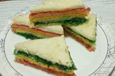 rainbow sandwich recipe || delecious sandwich recipe || how to make rainbow sandwich