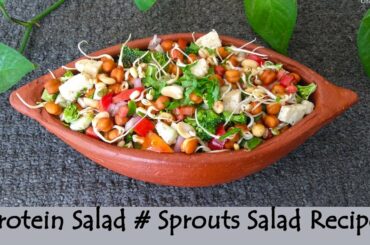High Protein Salad | Weight Loss Recipe | Sprouts Salad Recipe | Healthy Recipes