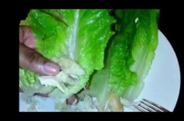 Quick healthy Lunch or Dinner.  Yummy No Bread Sandwich (Easy mommy style)