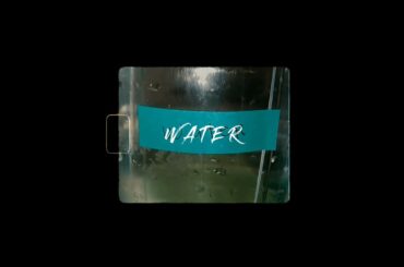 PAPAYA WITH MALUNGGAY | Affordable and Healthy Recipes