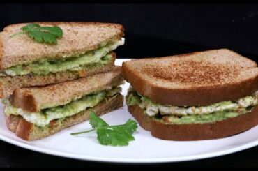 Healthy Sandwich recipe for weight loss || Egg Sandwich || avocado sandwich